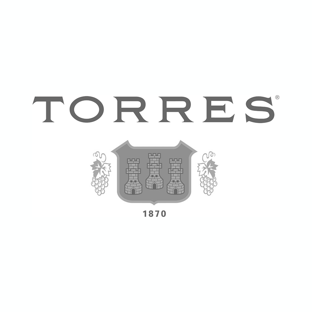 bodegas torres